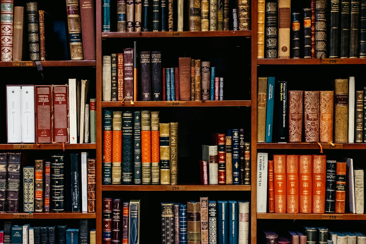 Student studying in library
